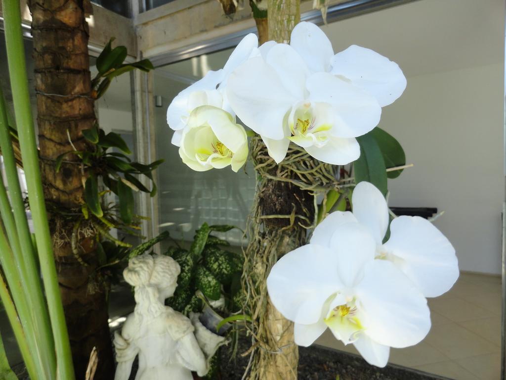 Pousada Orquideas 瓜鲁雅 外观 照片